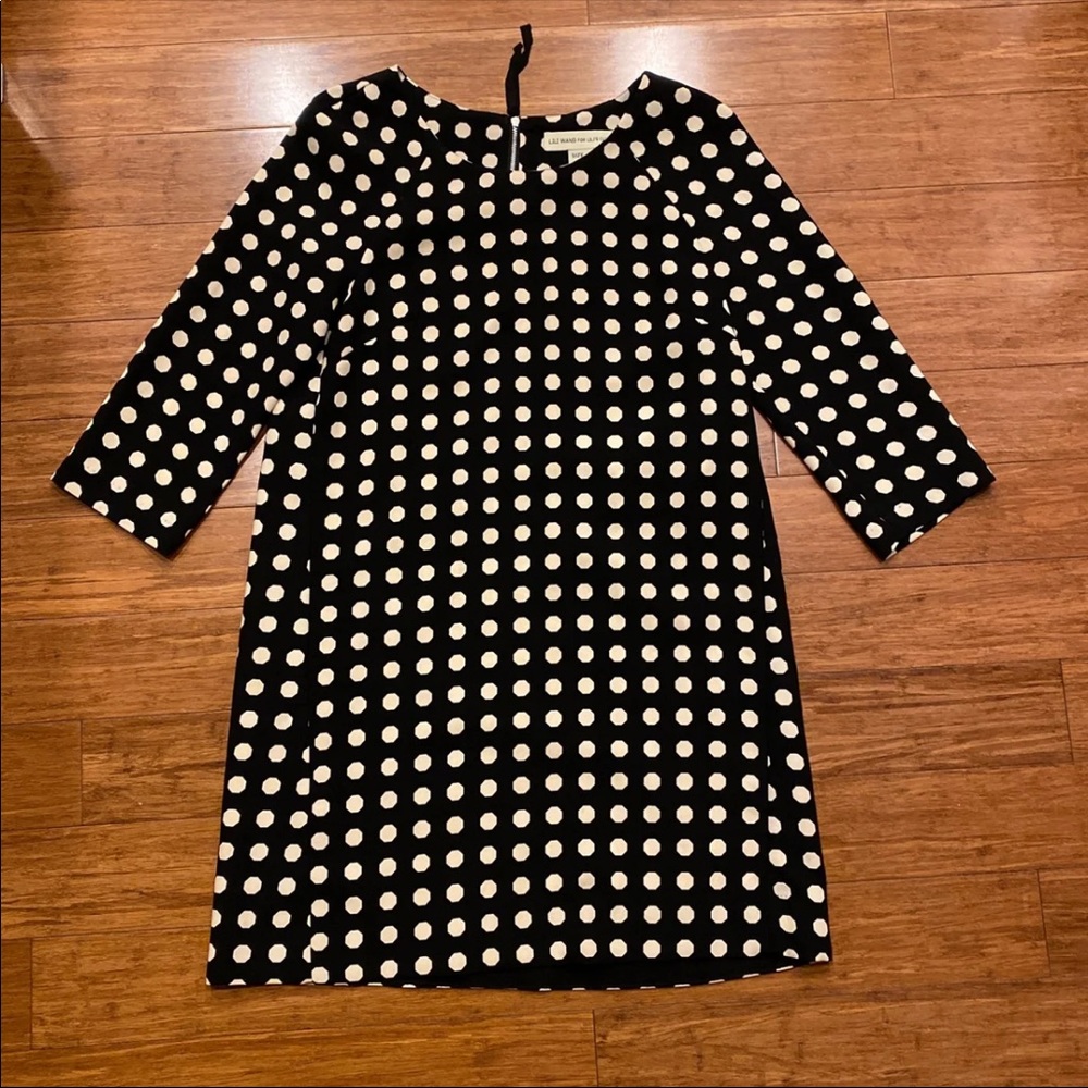 Anthropologie Lili Wang for Lili’s Closet Dress